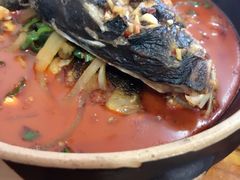 -龙小海荆沙鸽子店(瑞安街店)