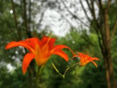 -东郊湿地公园