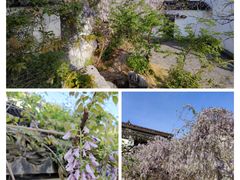 -衣裳街历史文化街区