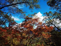 -秦岭风景区