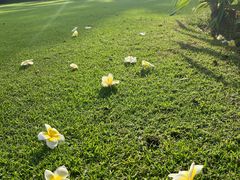 -亚龙湾喜来登·美景台大堂吧