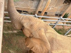 -西霞口神雕山野生动物世界