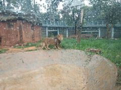 -昆明动物园