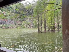 -水濂山森林公园