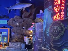 -烟台海昌鲸鲨海洋公园