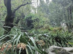 -成都杜甫草堂博物馆