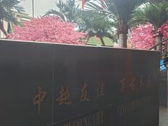 -东兴口岸-中越友谊大桥