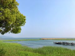 -太湖湖滨国家湿地公园-停车场