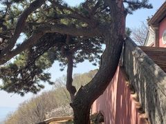 景点-妙峰山风景名胜区