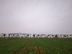 -东梓关景区村庄