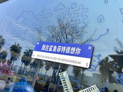 -鲨鱼菲特(金沙湖店)