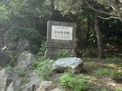 -白水寺森林公园