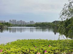 -观山湖公园