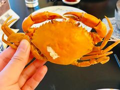 奄仔蟹-天伦里餐厅(绿城桃花源店)