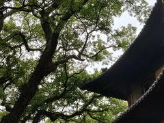 -普陀山风景名胜区-法雨禅寺
