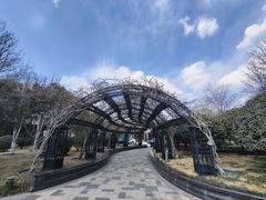 -青岛鑫江温德姆酒店