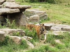 -北京野生动物园