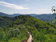 -大岭沟猕猴桃谷风景区