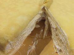 picture-OL’s Cake鲜荟千层(东风中路店)