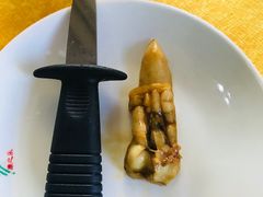 -蚝专家(北滘店)