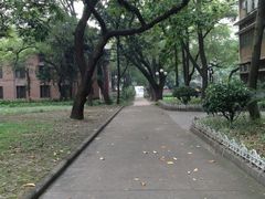 -中山大学学者灵芝(园南路店)