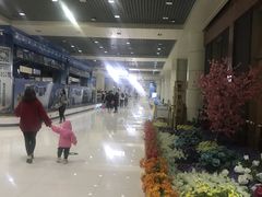 -丽江三义国际机场