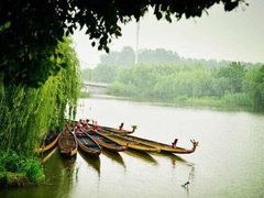 -溱湖国家湿地公园