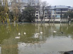 -西安市长乐公园