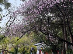 -黑龙潭公园