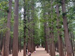 -日照海滨国家森林公园
