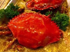 -茉莉.Red Crab