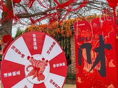 -汕头中海黄金海岸水上乐园