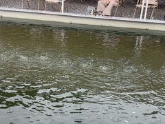 -DGE季风钓虾营地·团建·聚会