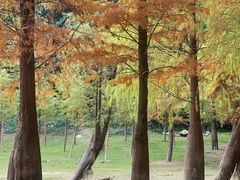 -广州市帽峰山景区