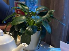 -旺顺阁·北京菜(北辰上品+)