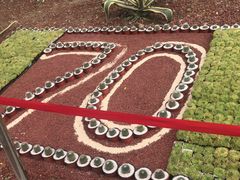 -南通洲际绿博园