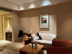 -电谷雅阁国际大酒店