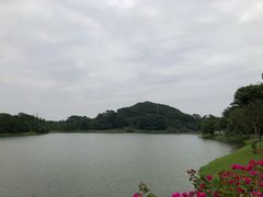 -东莞植物园
