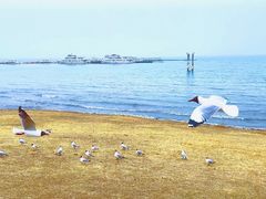 -青海湖二郎剑景区