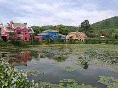 -茅山肴·道家菜·神仙鸡