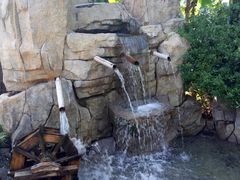 -金孔雀温泉旅游度假村