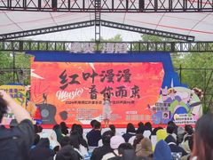 -上海海湾国家森林公园