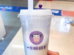 -一只酸奶牛(八一路店)