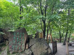 -本溪汤沟绿石谷森林公园