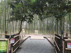 -岚山嵯峨野观光小火车