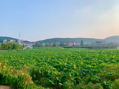 -雅和生态渔庄·宜城锅巴饭(龙灵山公园店)