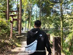 -凤栖山