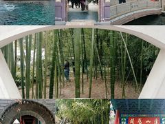 -揭东万竹园旅游景区