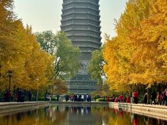 -玲珑塔公园