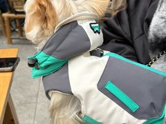 -帕帕拉兹宠物(亚洲旗舰店)